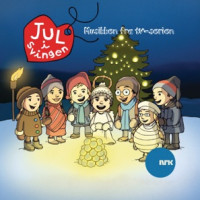 Jon Anders Halvorsen - Jula Kjem Alltid