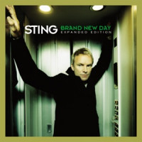 Sting, Cheb Mami - Desert Rose