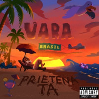Vanilla & DZWS, Dj Nattan - PRIETENA TA