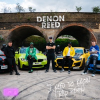 Denon Reed, Silky, MIST & Dizzee Rascal, Cru2 , KAV - I need to know  [Silky, MIST, Dizzee Rascal, KAV Remix]